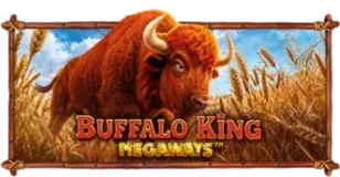 ภาพเกม Buffalo King Megaways ที่ เฮงปัง168 รวบรวมไว้